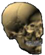 misc42
