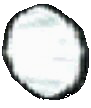 shield4